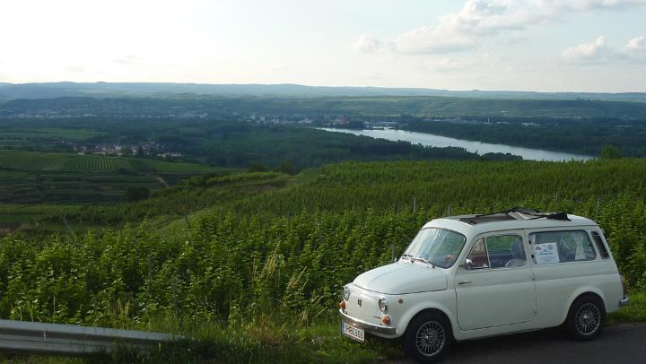 Wachau 2011 76